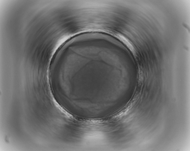 X0000094950958200712201134