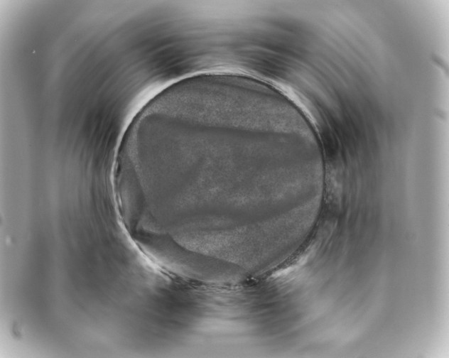 X0000094950959200712201134