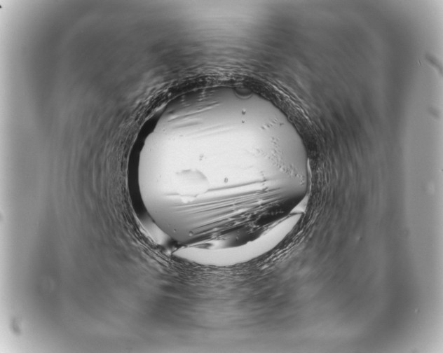 X0000094950961200712201133