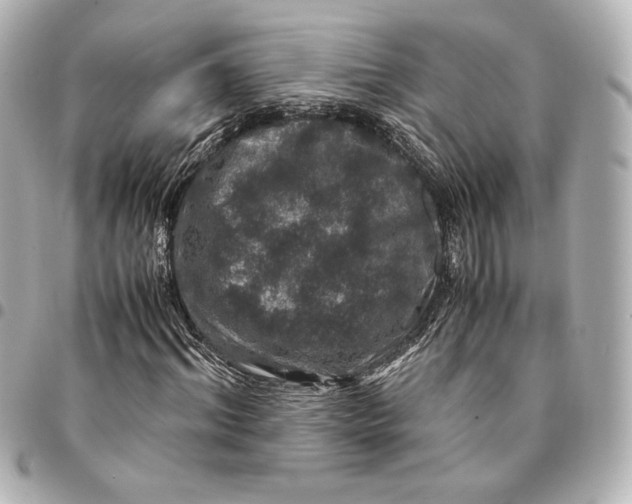 X0000094950964200712201133