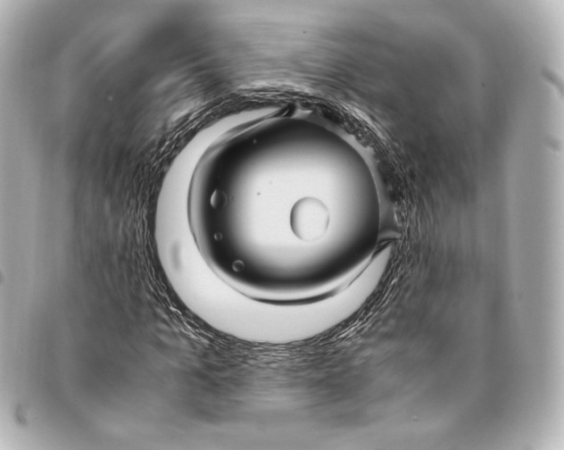 X0000094950965200712201133