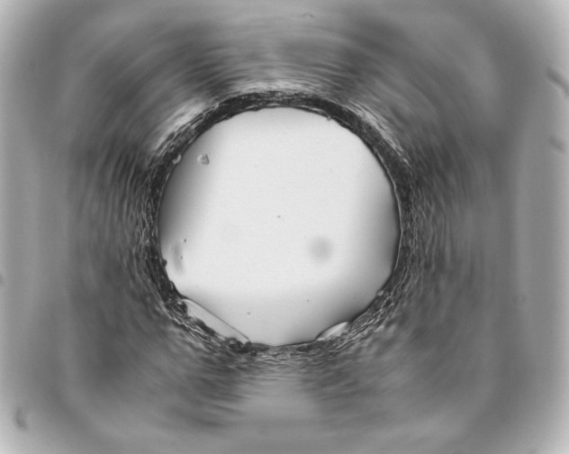 X0000094950967200712201133