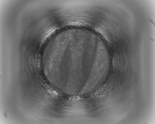 X0000094950968200712201133