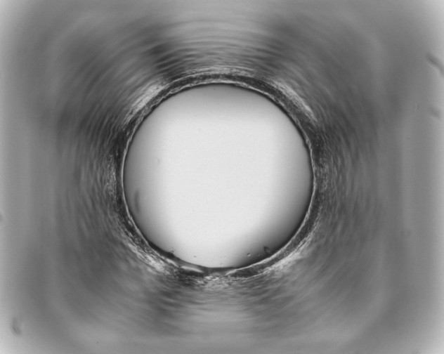 X0000094950969200712201133