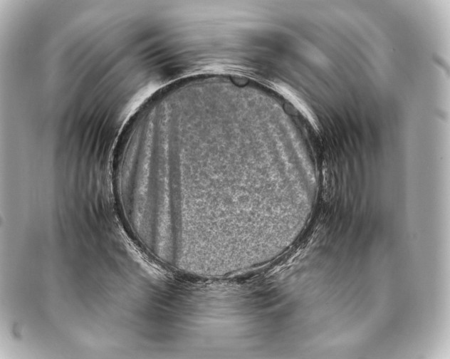 X0000094950972200712201133