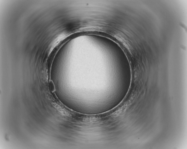 X0000094950973200712201133