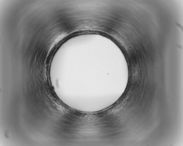 X0000094950974200712201133