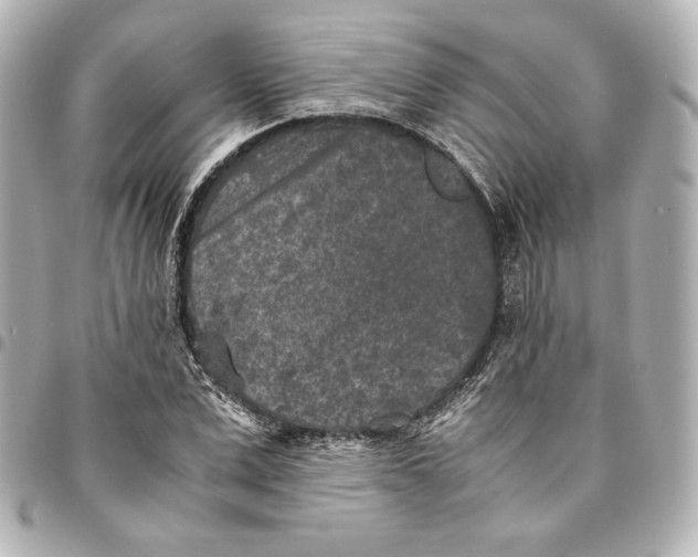 X0000094950975200712201133