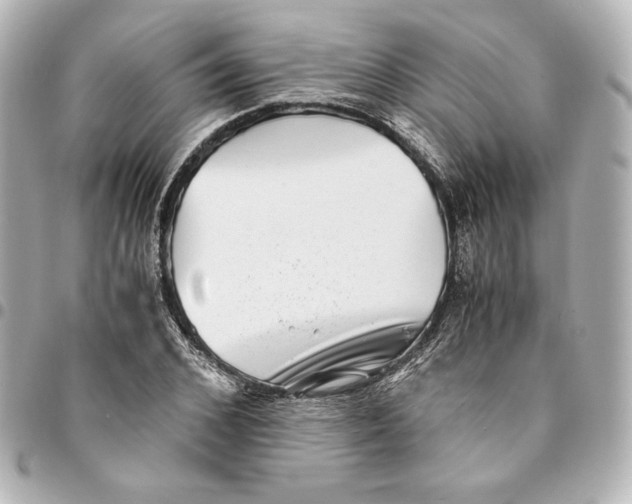 X0000094950976200712201133