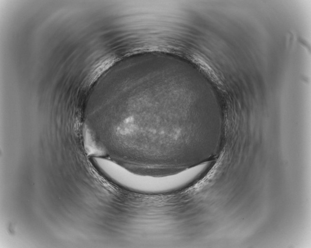 X0000094950977200712201133