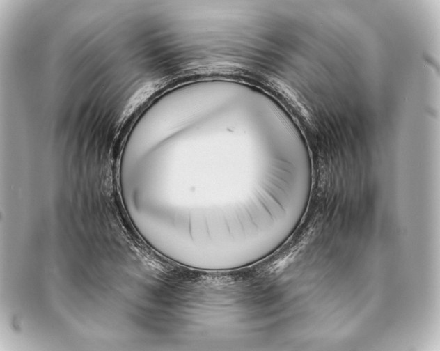 X0000094950978200712201133