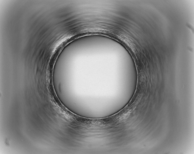 X0000094950979200712201133