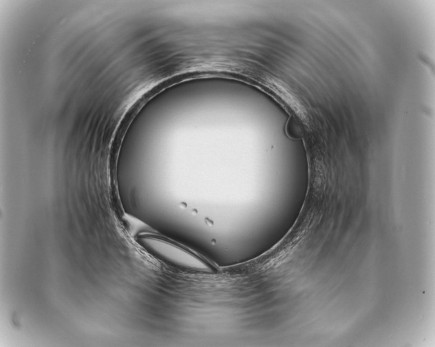 X0000094950980200712201133