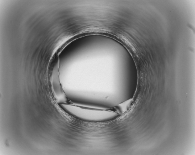 X0000094950981200712201133