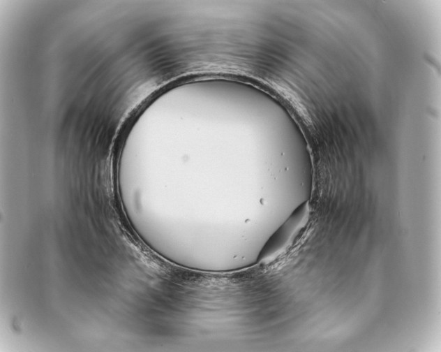 X0000094950982200712201133