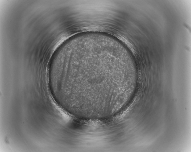 X0000094950983200712201133