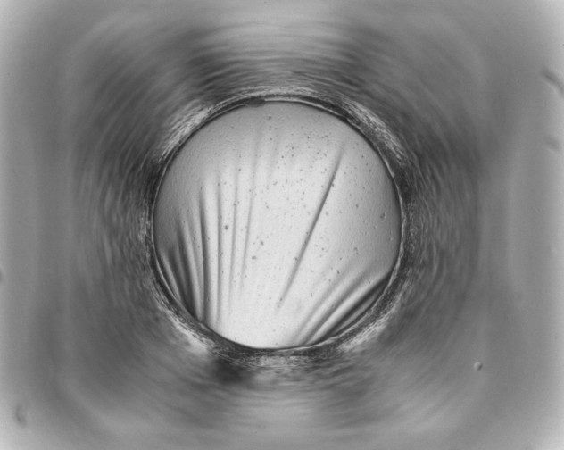 X0000094950985200712201133