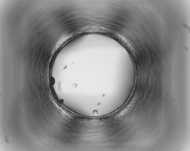 X0000094950986200712201133