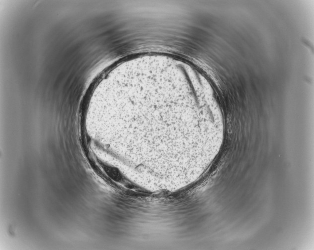 X0000094950987200712201133