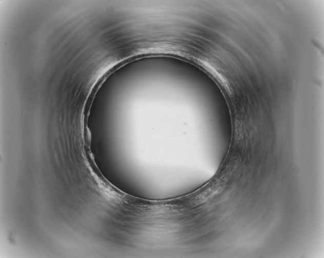 X0000094950988200712201133