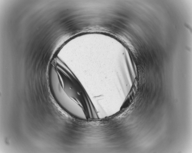 X0000094950990200712201133