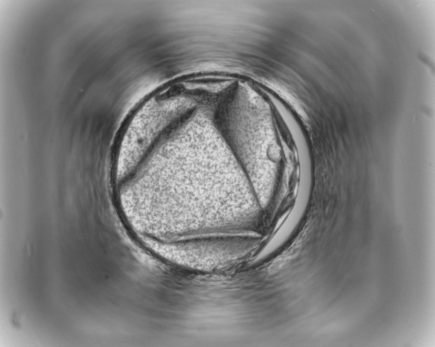 X0000094950991200712201133