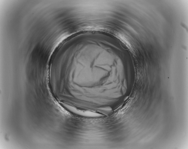 X0000094950992200712201133