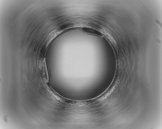 X0000094950993200712201133