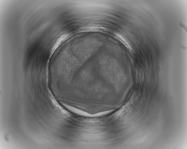 X0000094950994200712201133