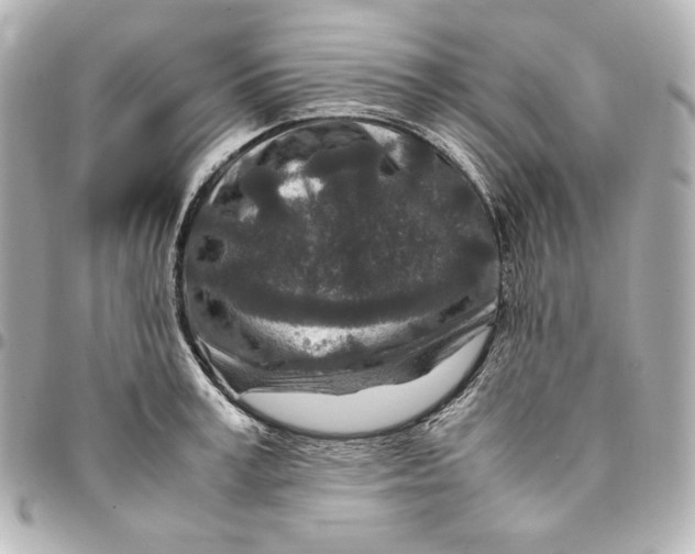 X0000094950995200712201133