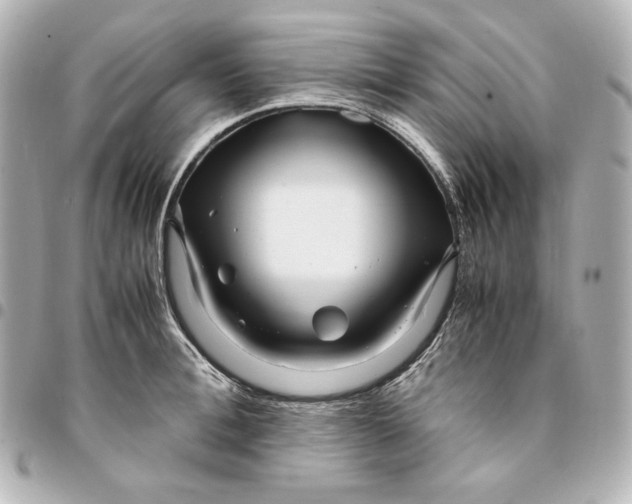 X0000094950996200712201133