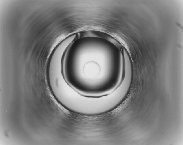 X0000094950997200712201133