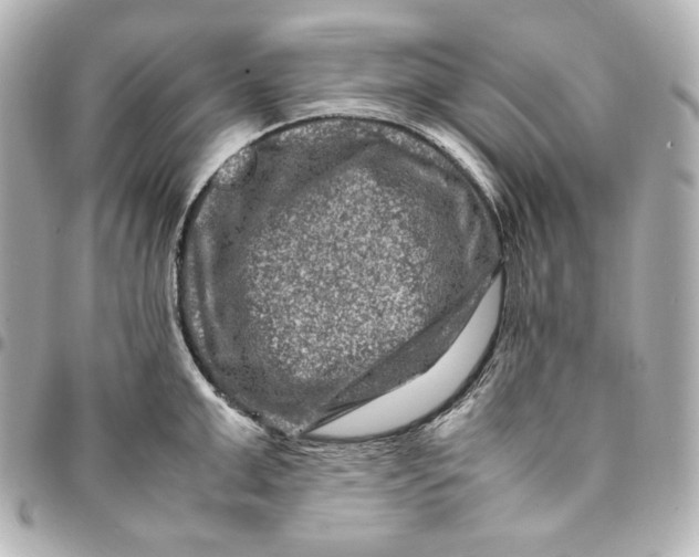 X0000094950999200712201133