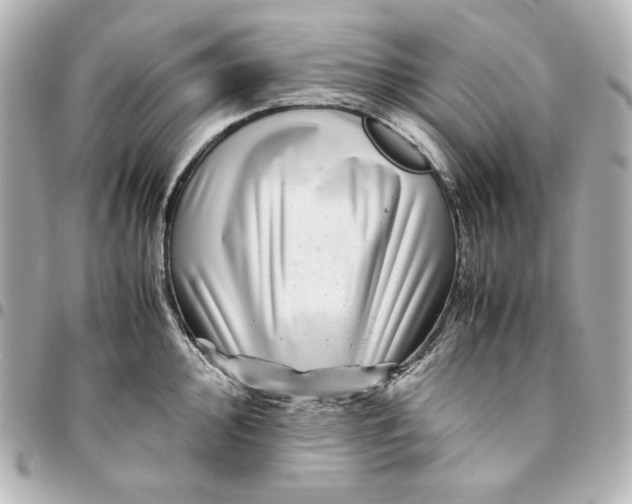 X0000094951000200712201133