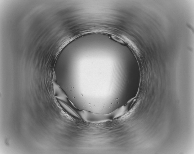 X0000094951001200712201133