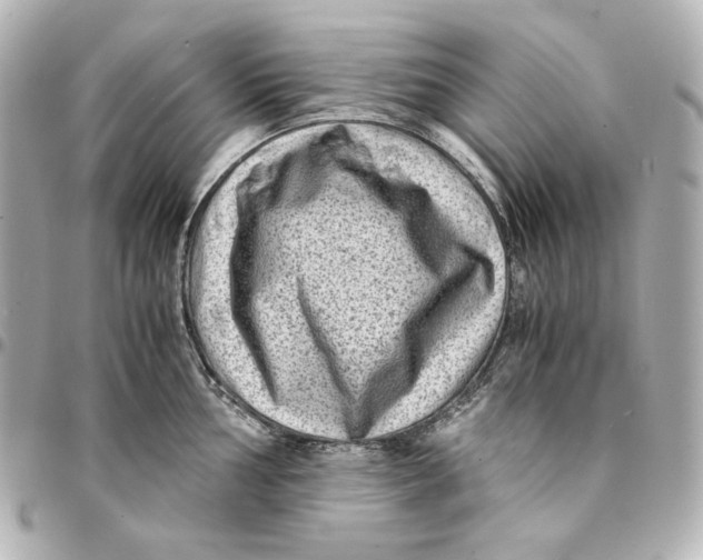 X0000094951002200712201133