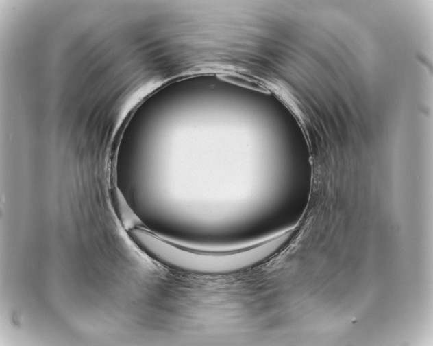 X0000094951003200712201133