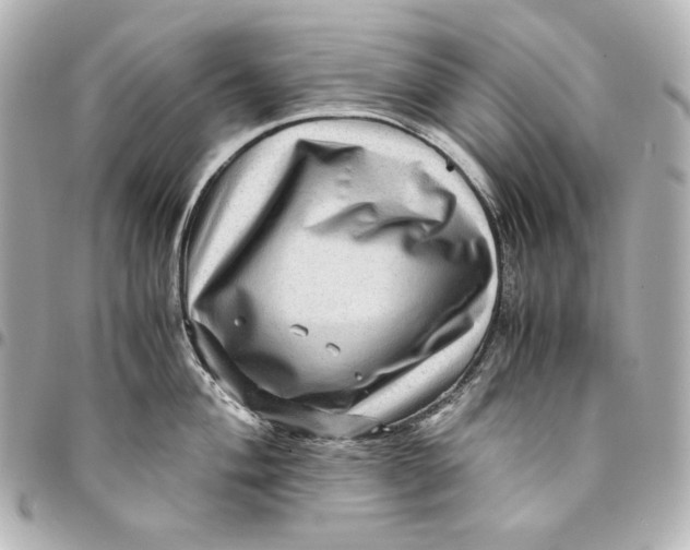 X0000094951004200712201133