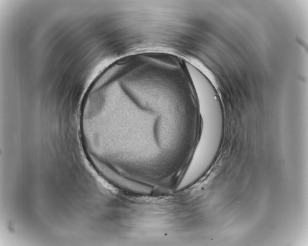 X0000094951005200712201133