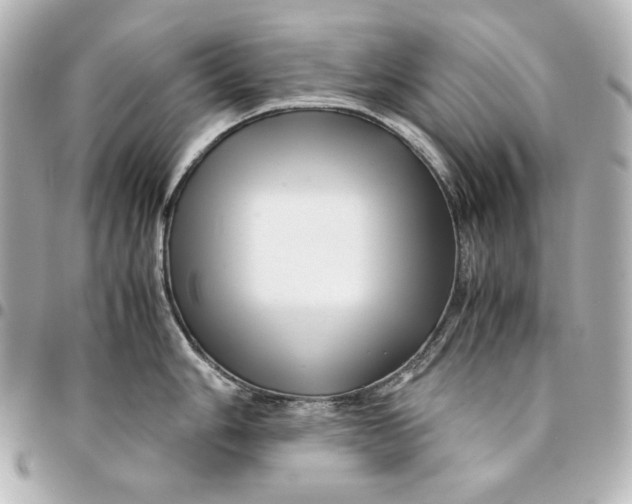 X0000094951006200712201133