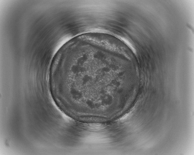 X0000094951007200712201133