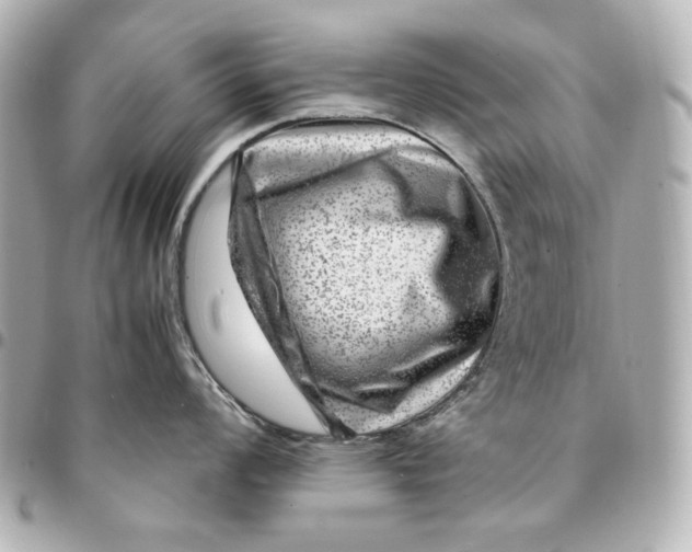 X0000094951008200712201133