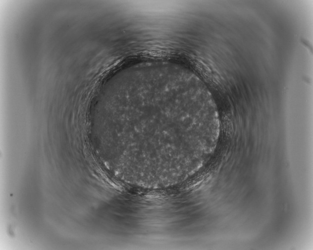 X0000094951009200712201132