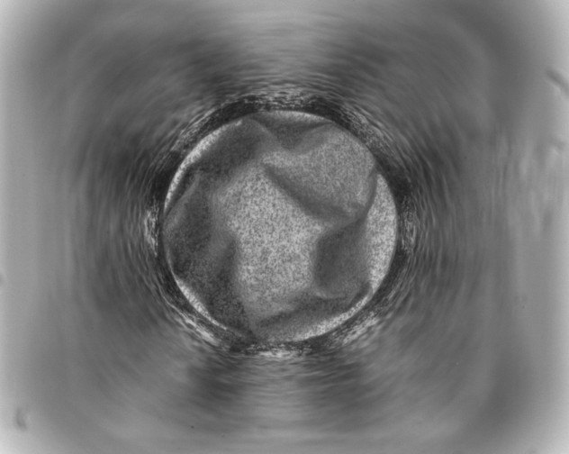 X0000094951010200712201132