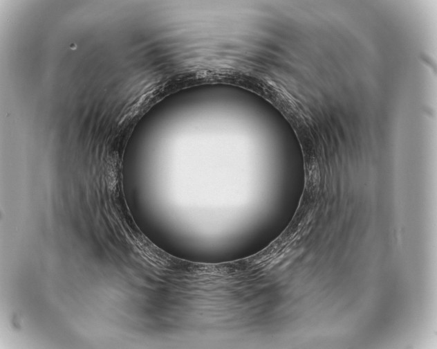 X0000094951012200712201132