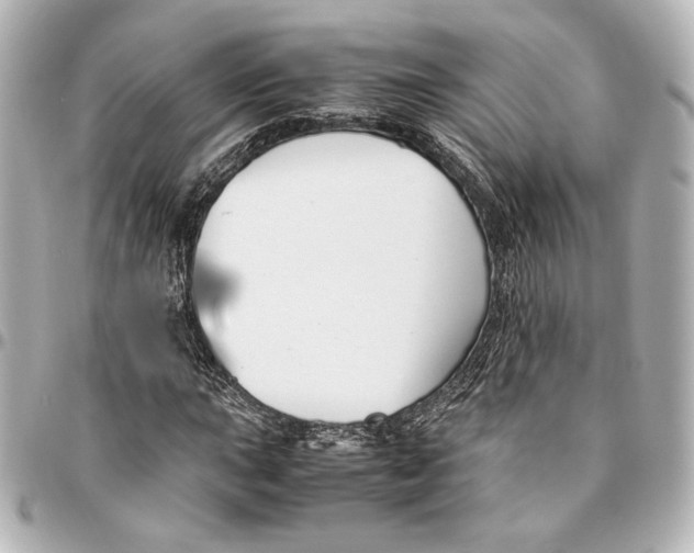 X0000094951015200712201132