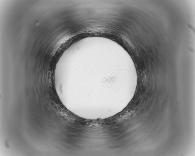 X0000094951016200712201132