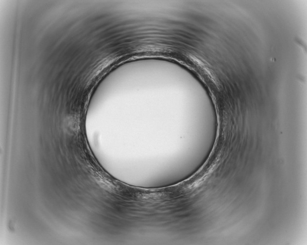 X0000094951017200712201132