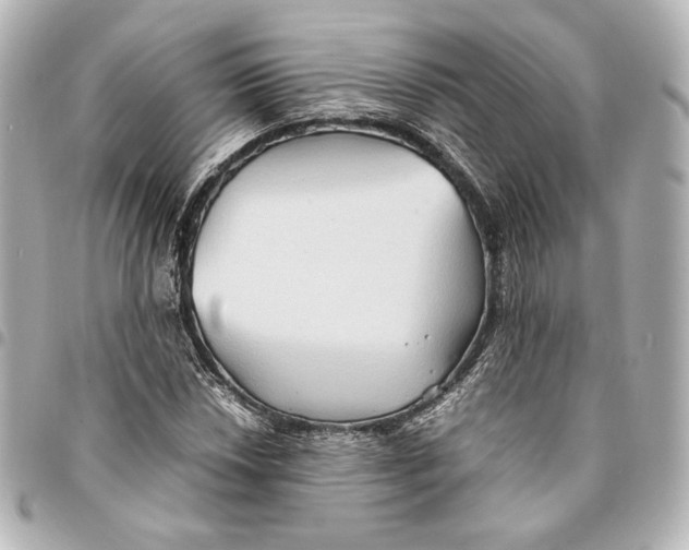 X0000094951018200712201132