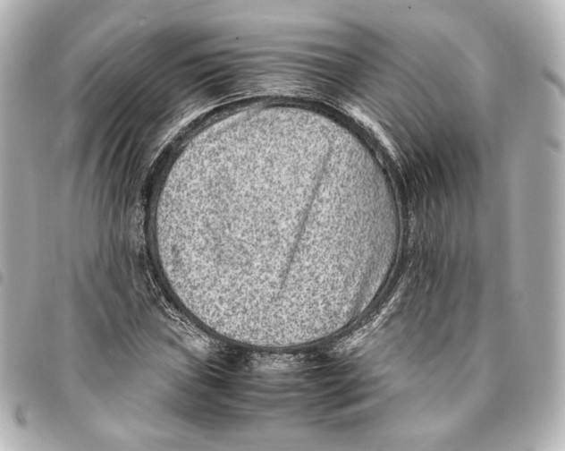 X0000094951019200712201132